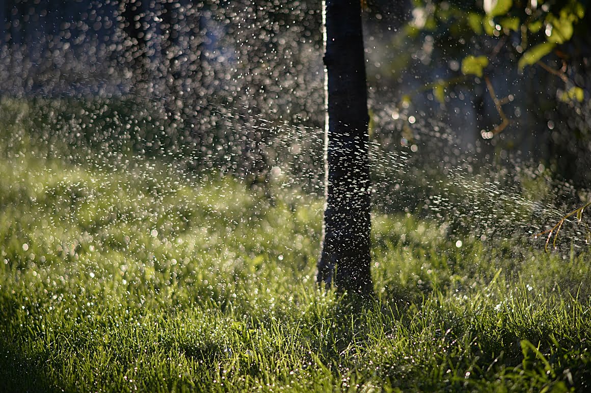 AF-DC-Nikkor-105mm-f2D-23