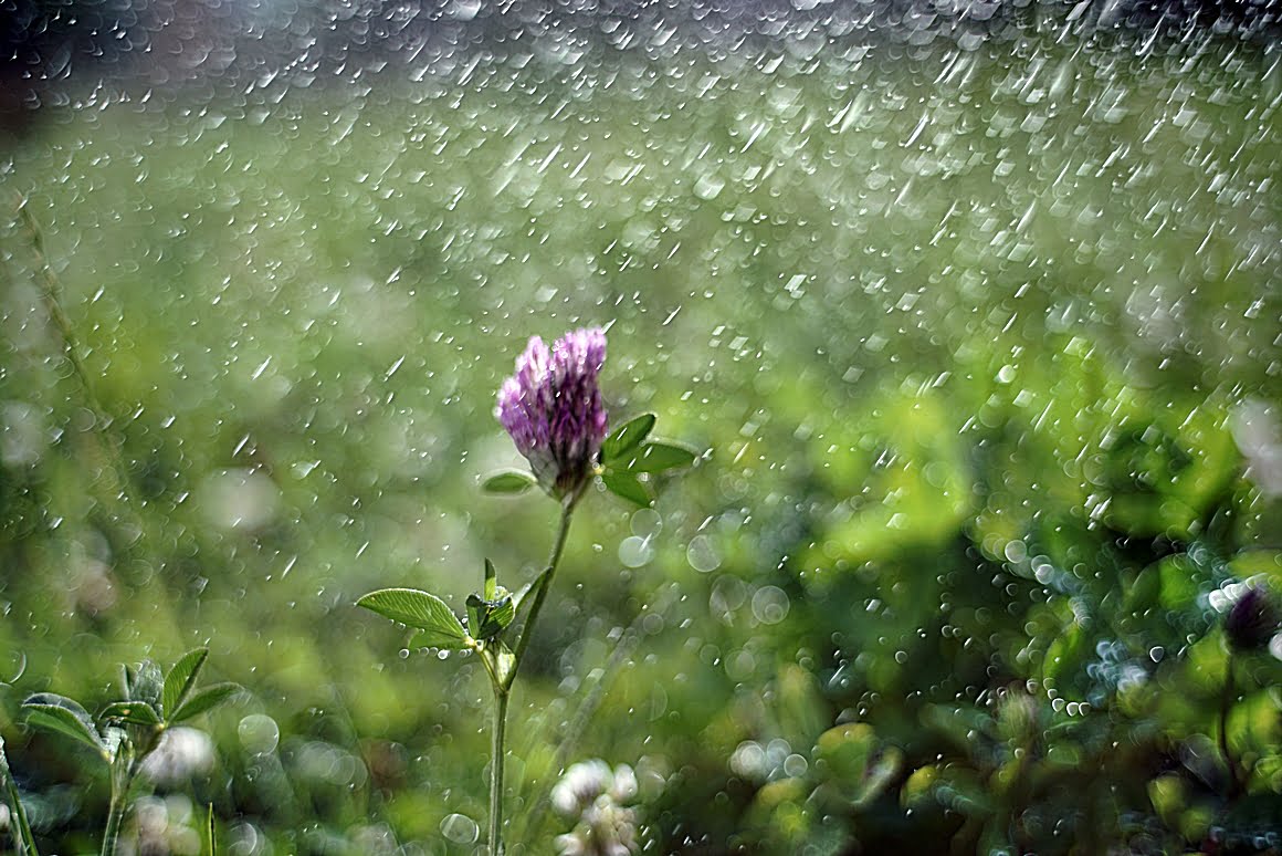 Canon-FD-35mm-f2-o