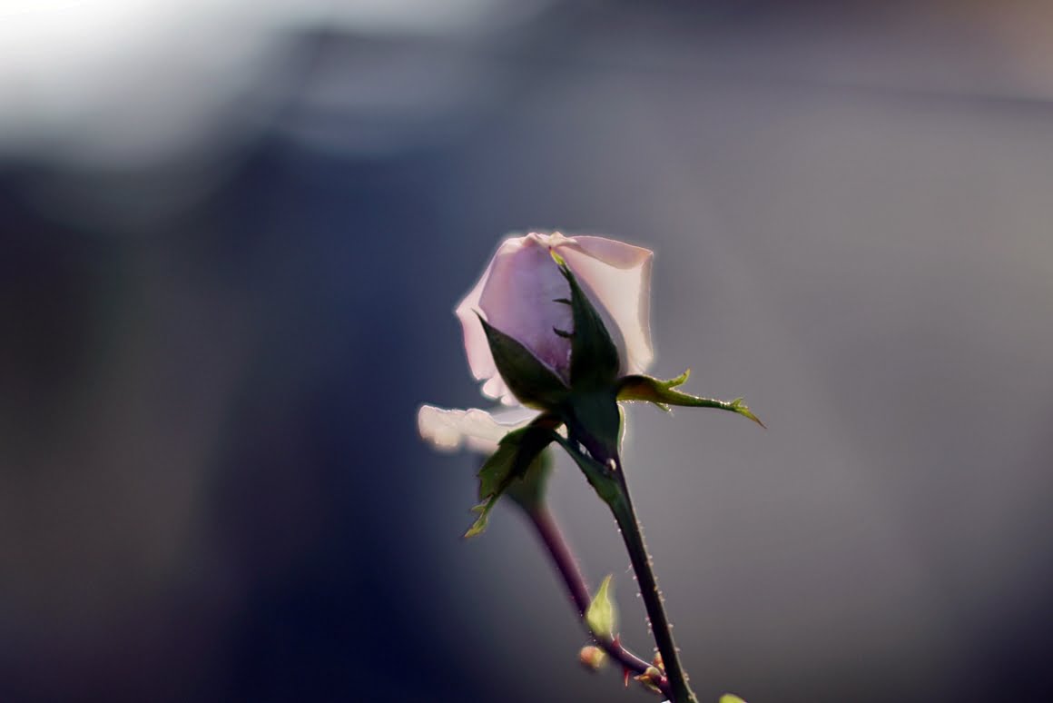 7ARTISANS 75mm f1.25 AL