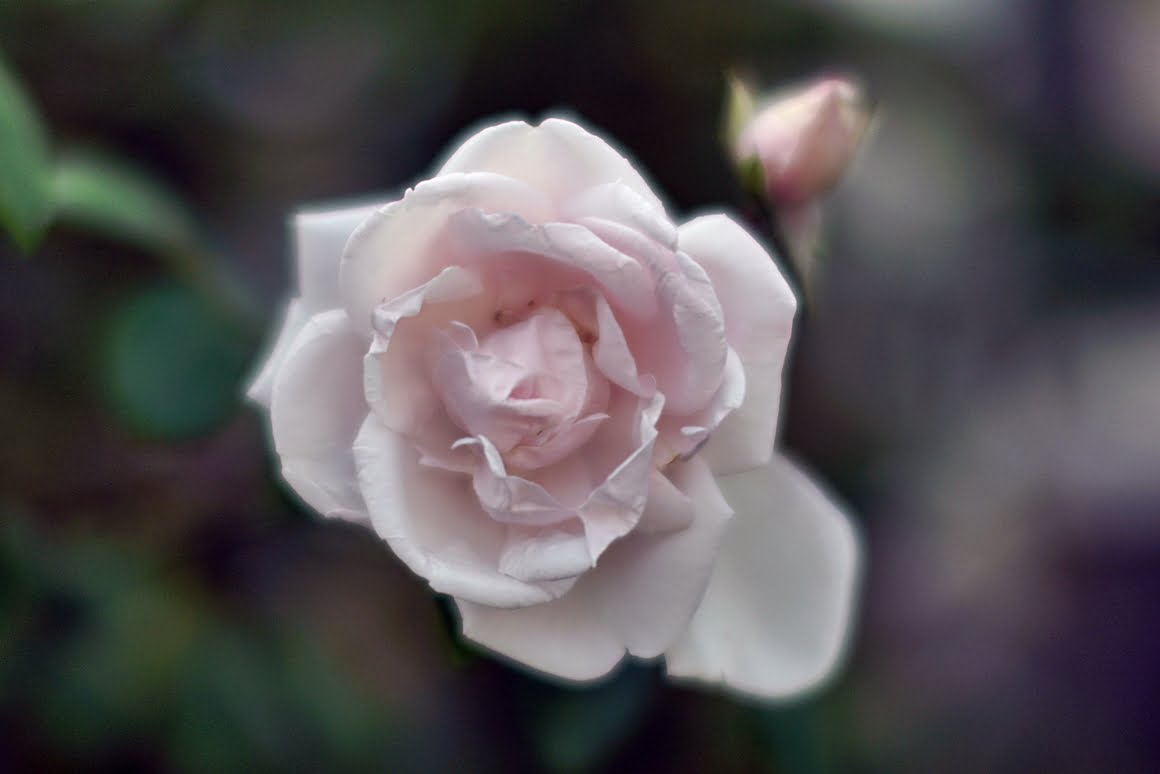7ARTISANS 75mm f1.25 BJ