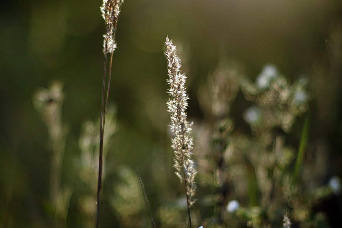 7ARTISANS 75mm f1.25 BK