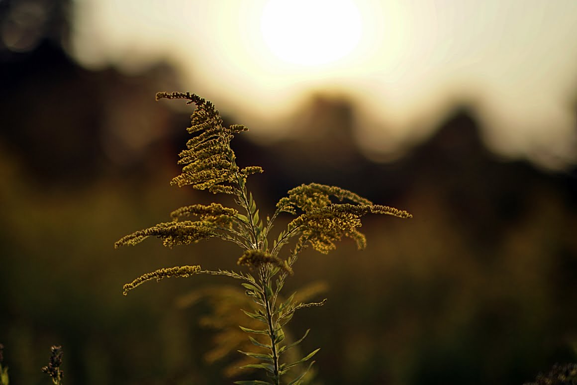 7ARTISANS 75mm f1.25 BM