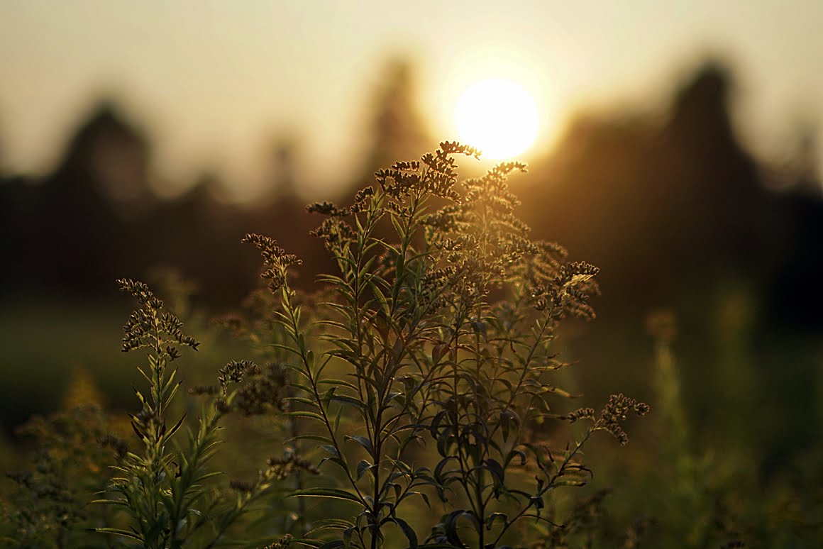 7ARTISANS 75mm f1.25 BO