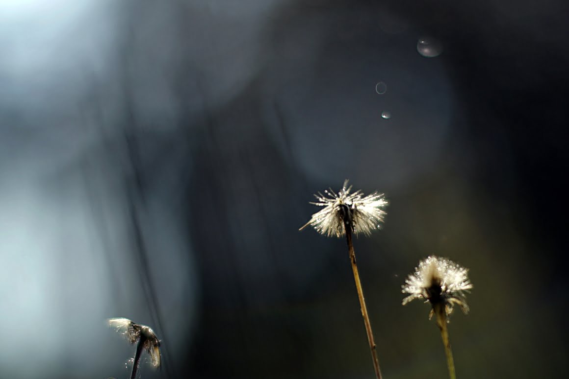 7ARTISANS 75mm f1.25 BV