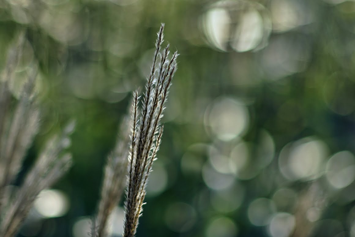 7ARTISANS 75mm f1.25 CH