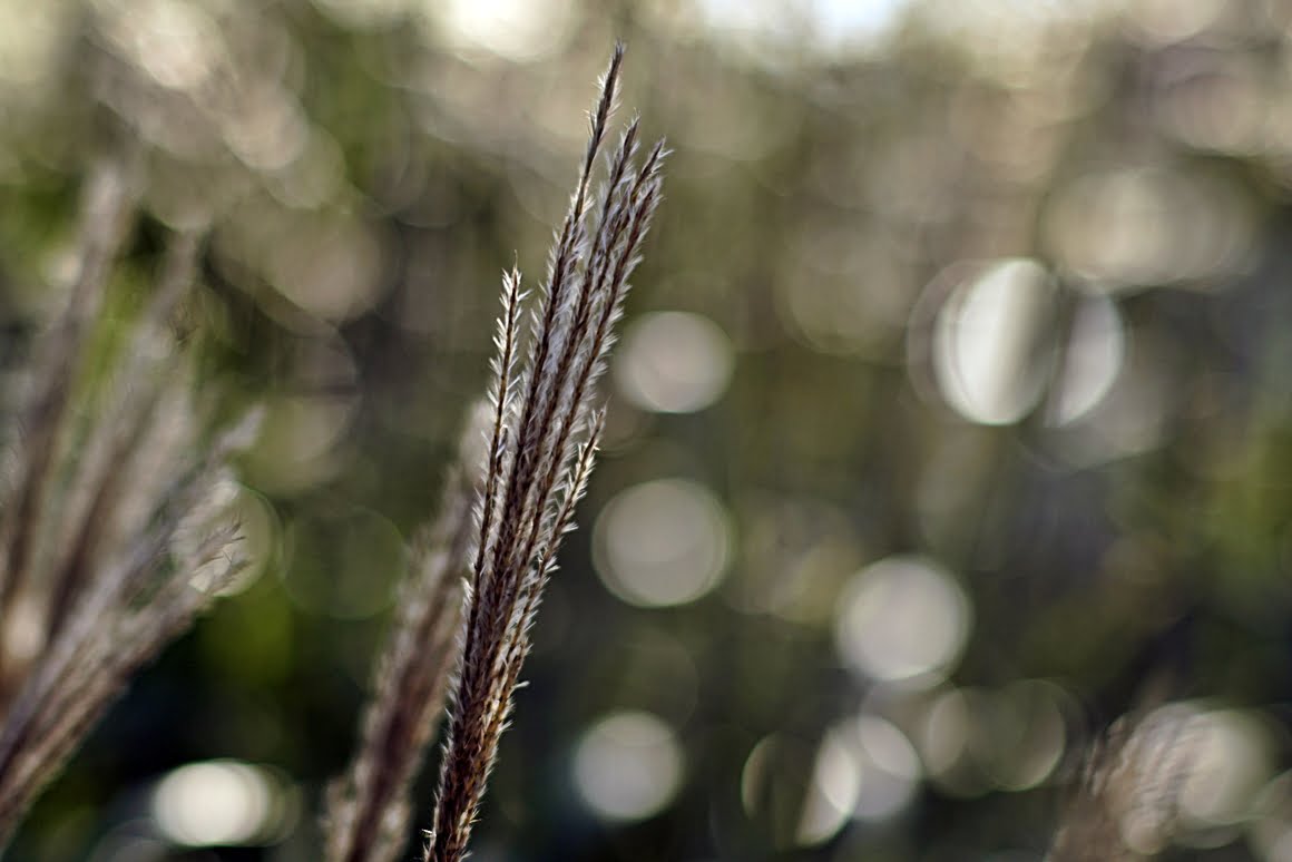 7ARTISANS 75mm f1.25 CI
