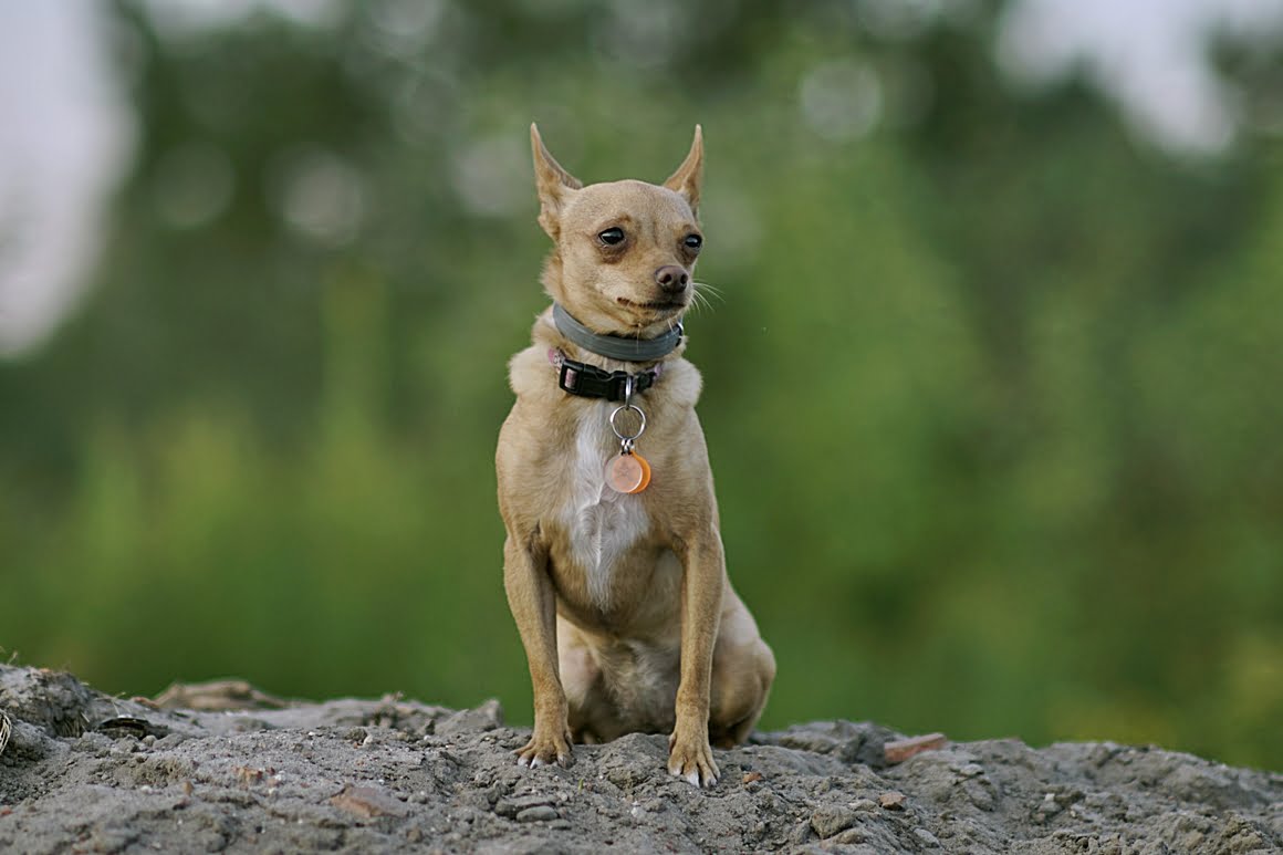 7ARTISANS 75mm f1.25 CS