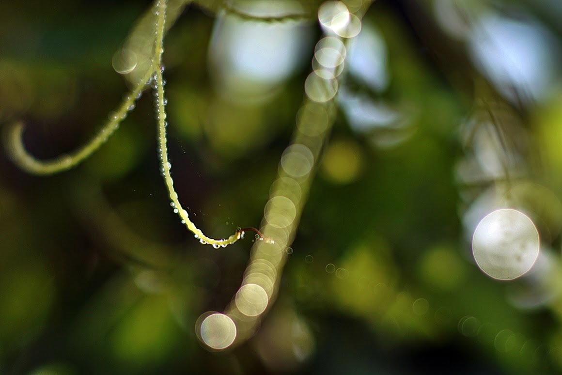 7ARTISANS 75mm f1.25 CU