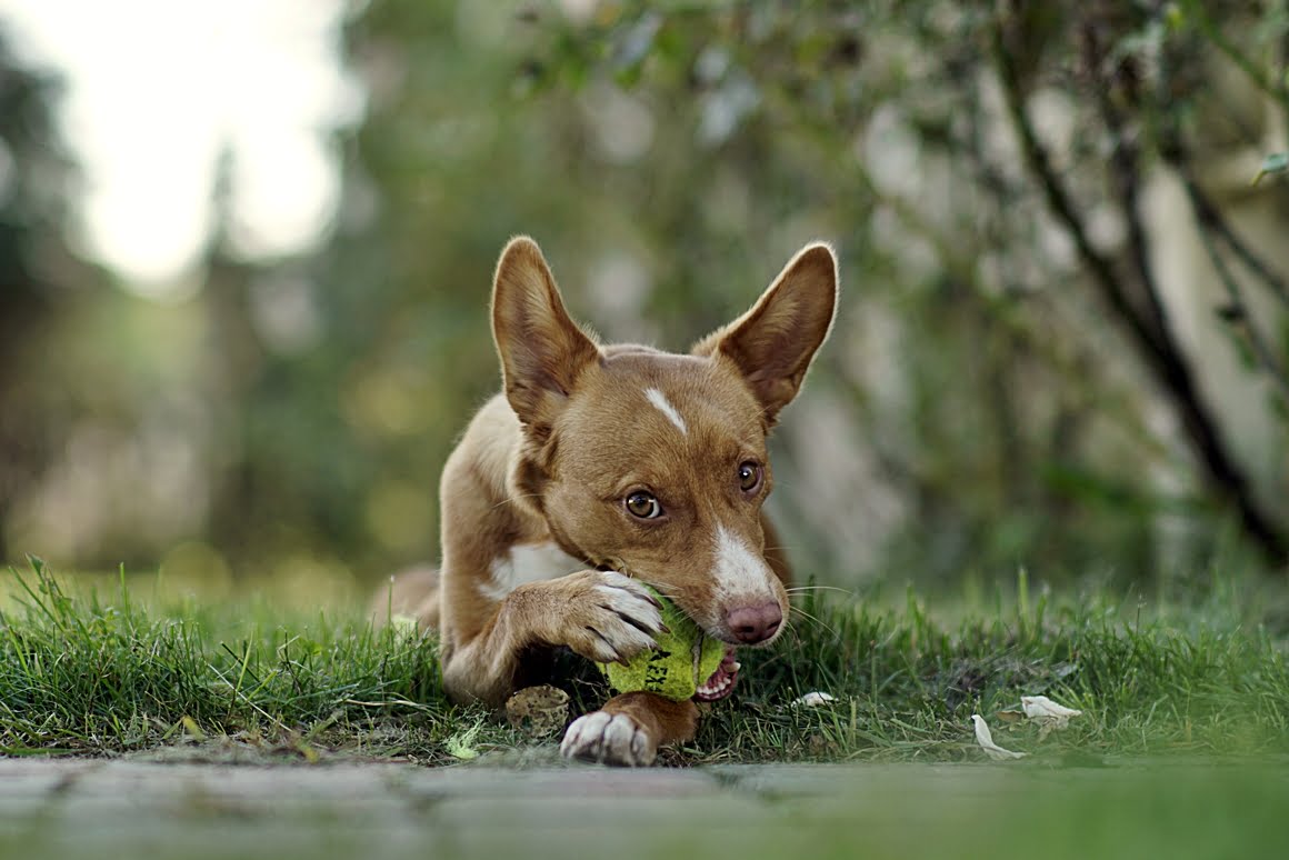 7ARTISANS 75mm f1.25 I