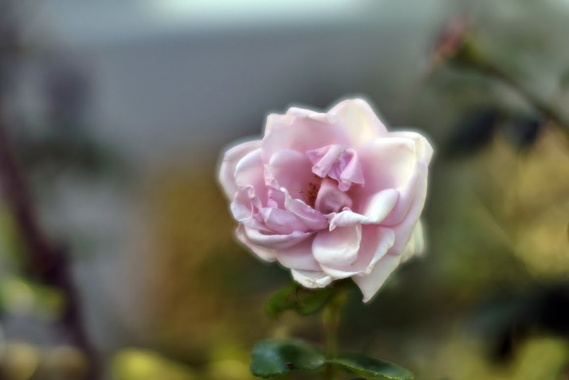 7ARTISANS 75mm f1.25 J