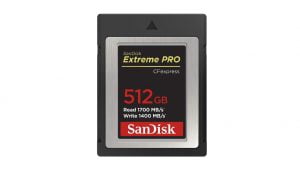 Sandisk-512GB