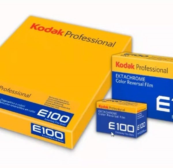 Kodak Ektachrome E100 w formatach 120 i 4×5 cala