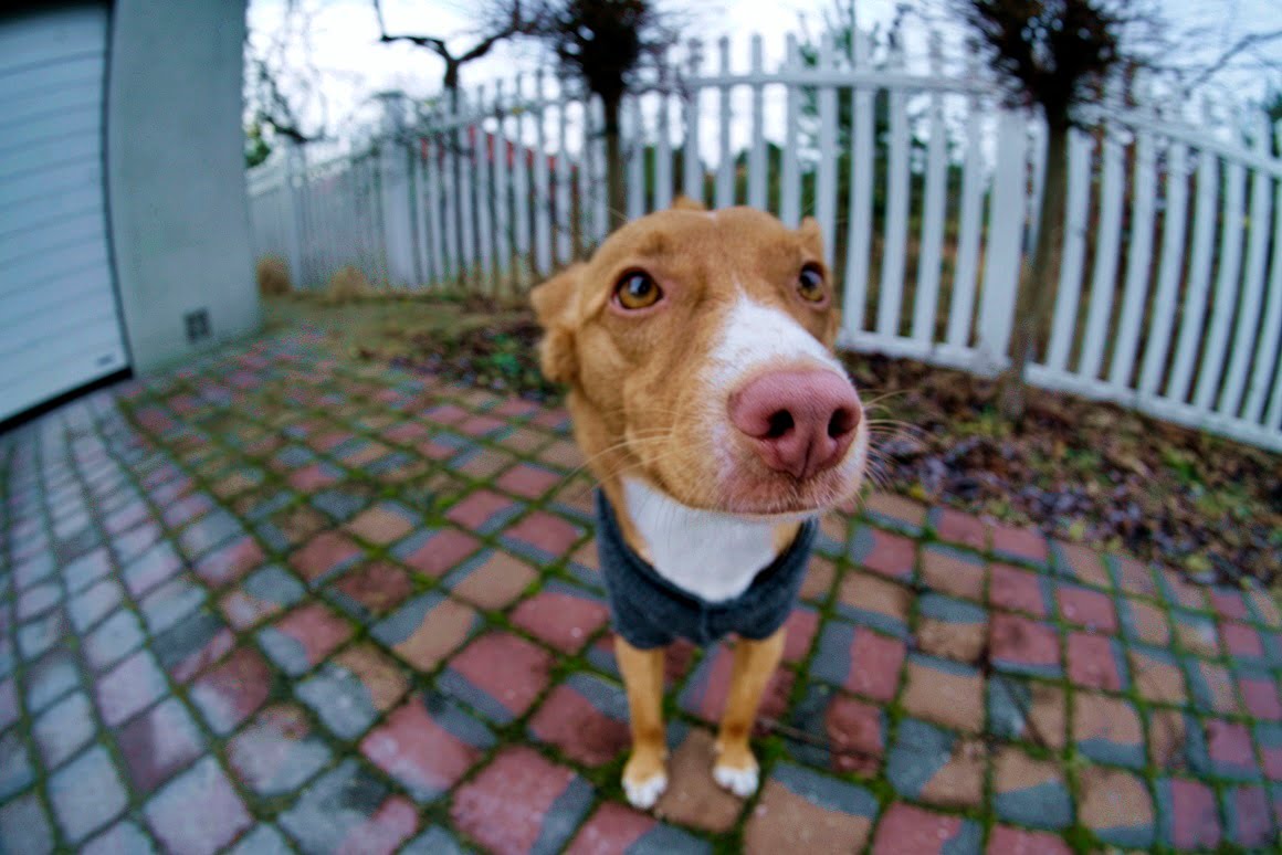 TTArtisan-11mm-f2.8-1