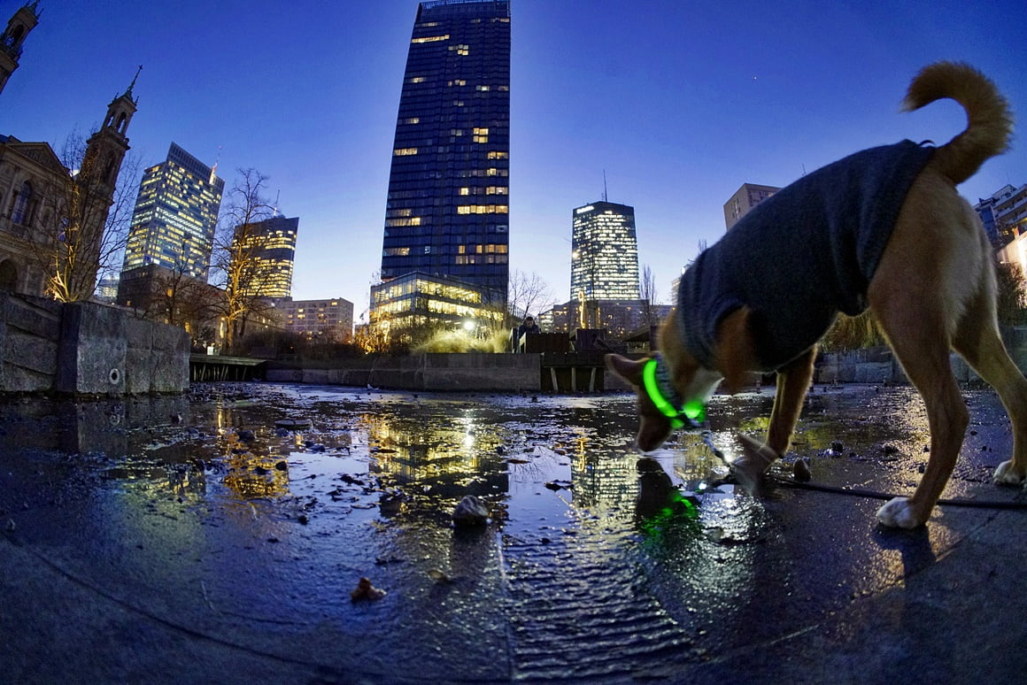 TTArtisan-11mm-f2.8-10
