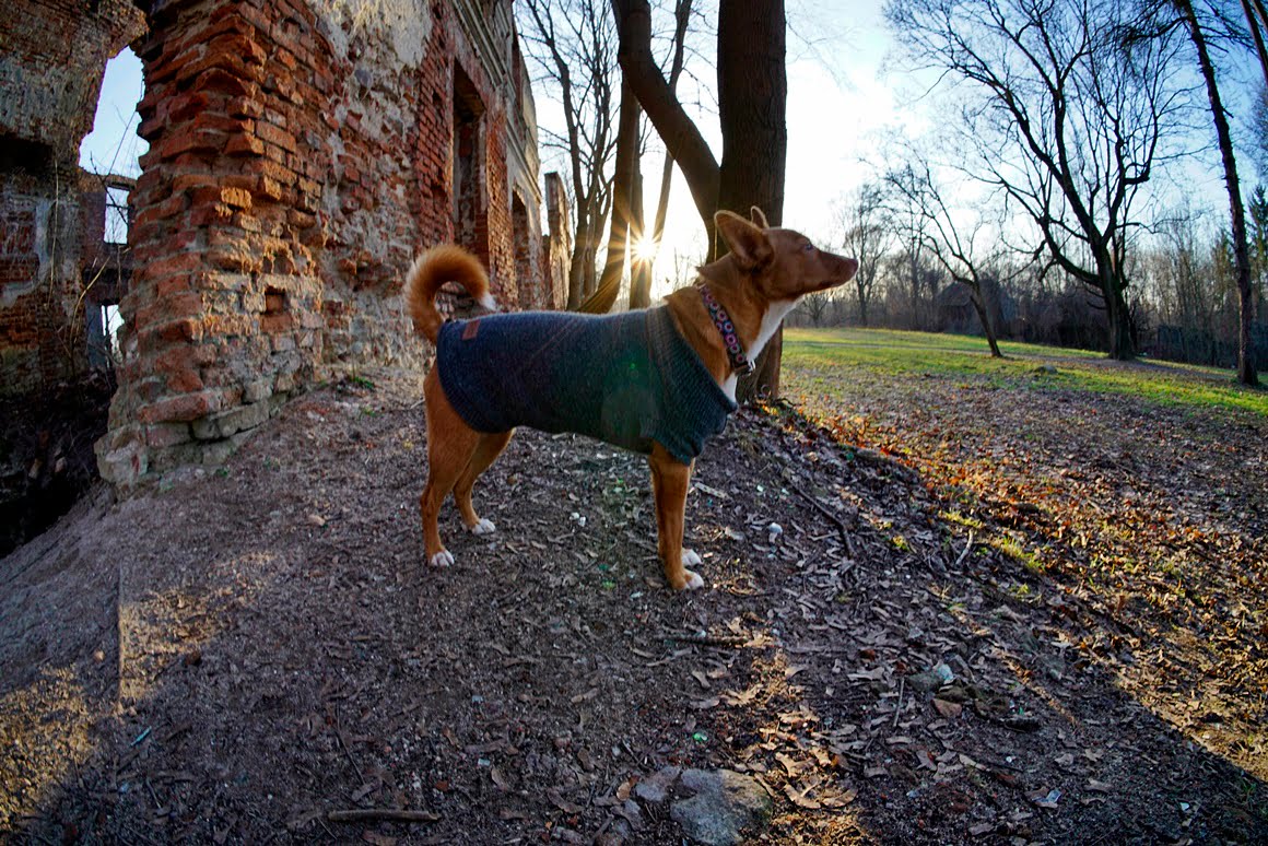 TTArtisan-11mm-f2.8-14