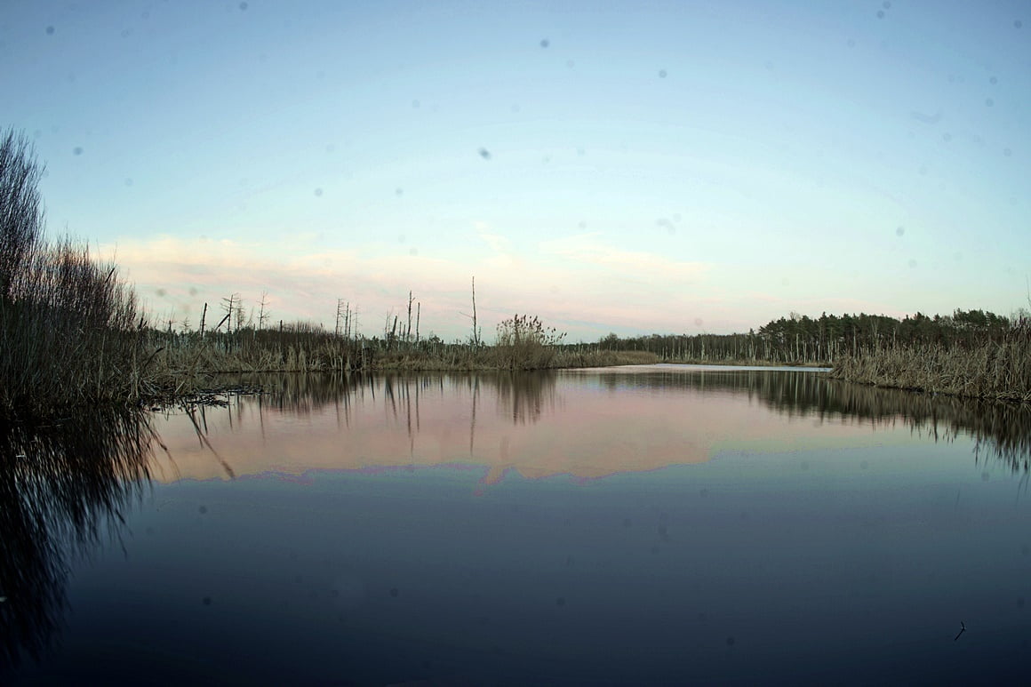 TTArtisan-11mm-f2.8-20