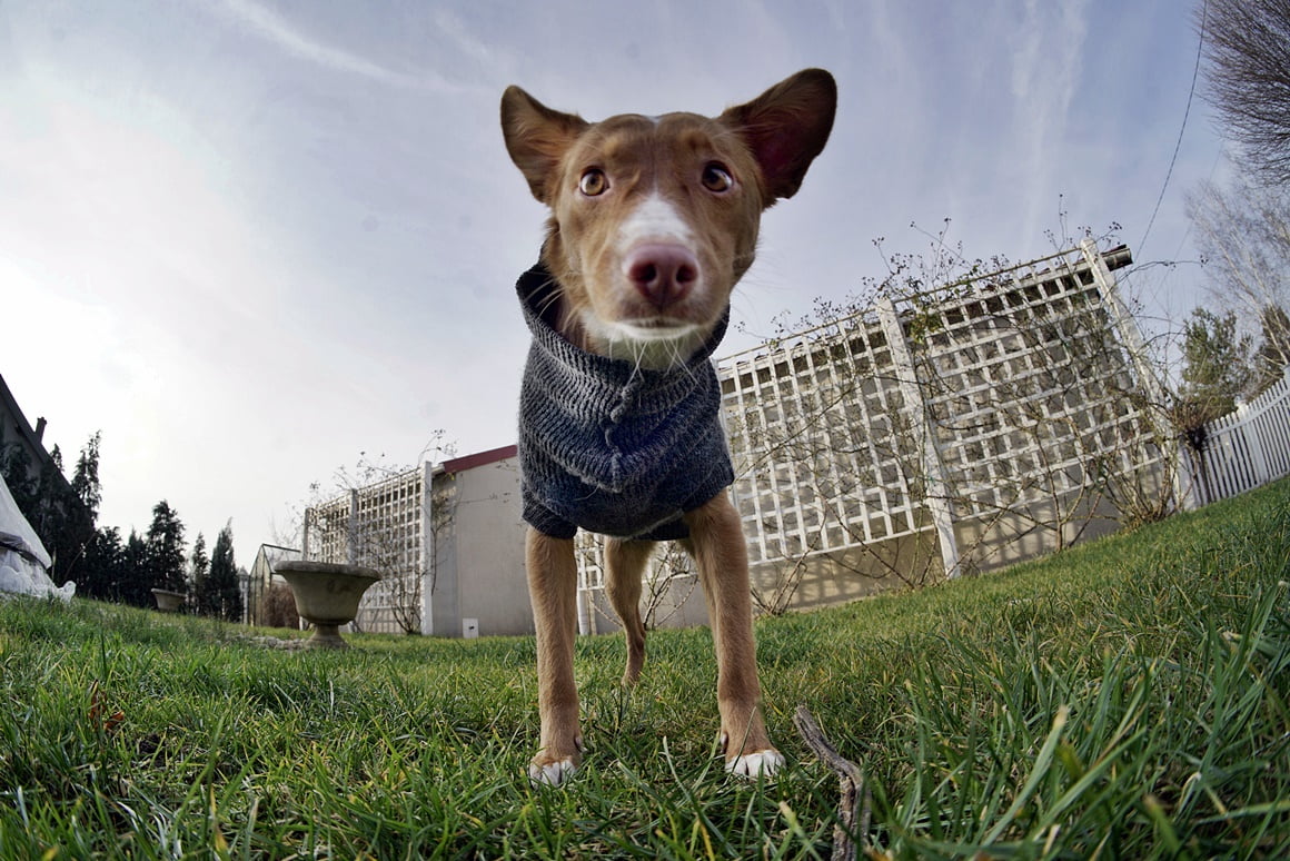 TTArtisan-11mm-f2.8-5