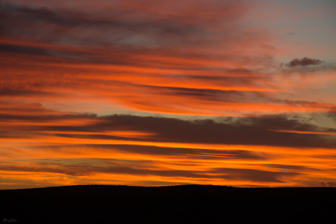 DSC_3151
