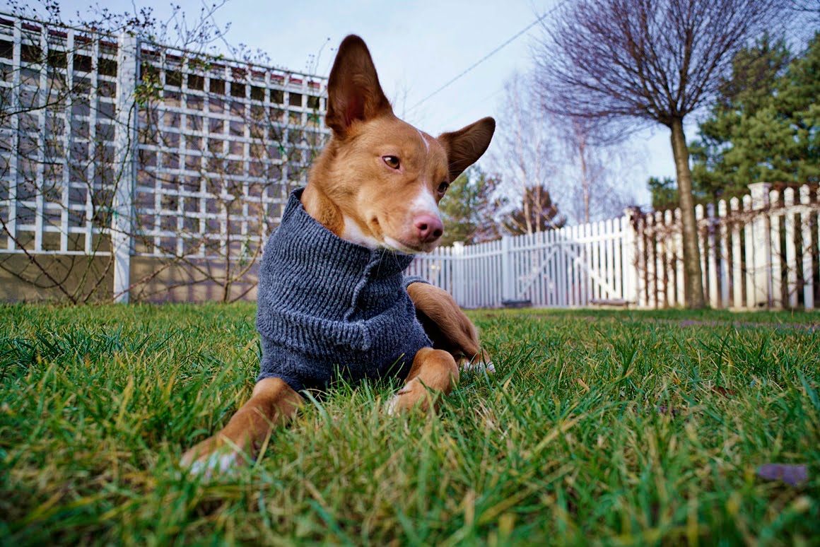TTArtisan-21mm-f1.5-1