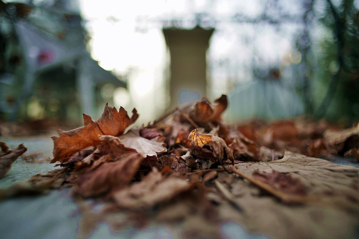 TTArtisan-21mm-f1.5-2