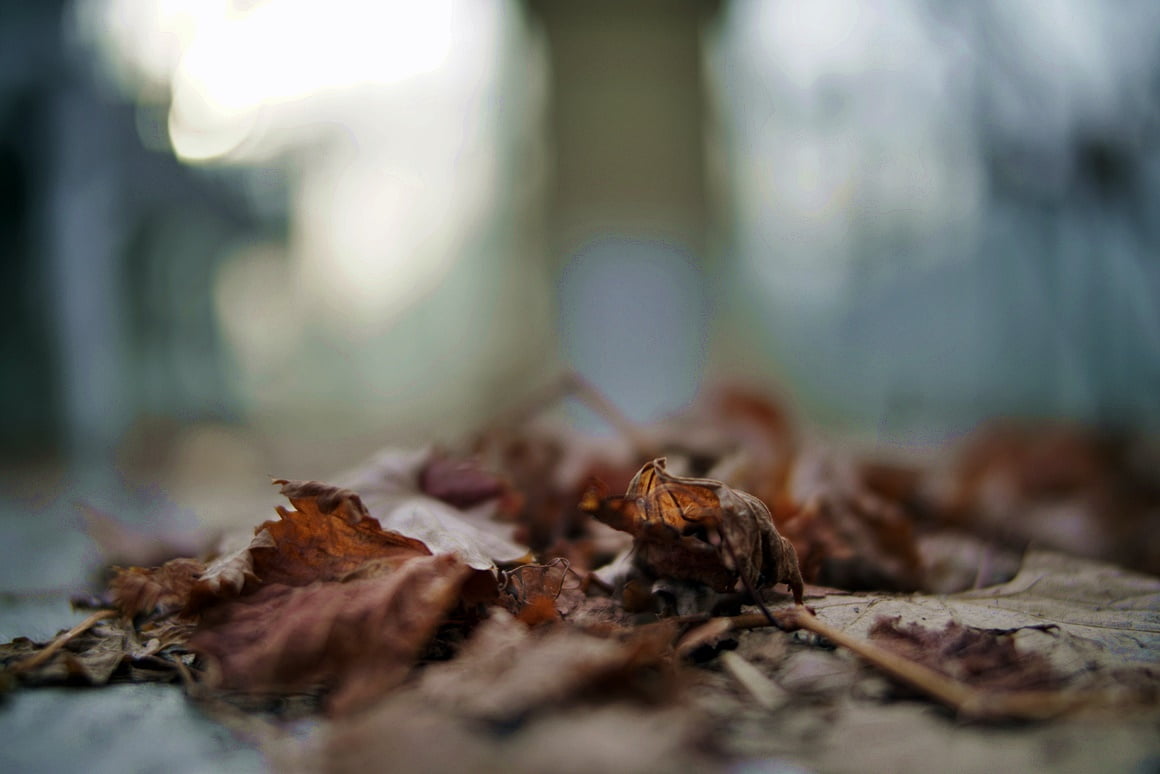 TTArtisan-35mm-f1.4-2