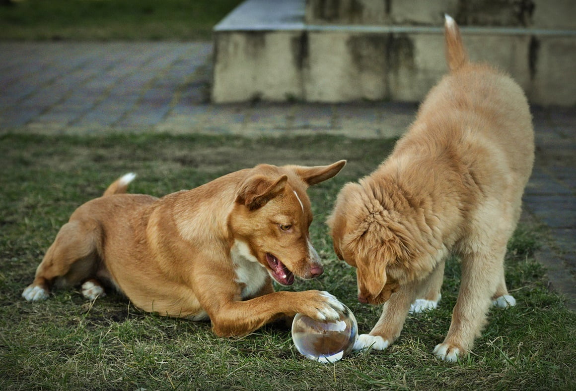 Crystal Ball