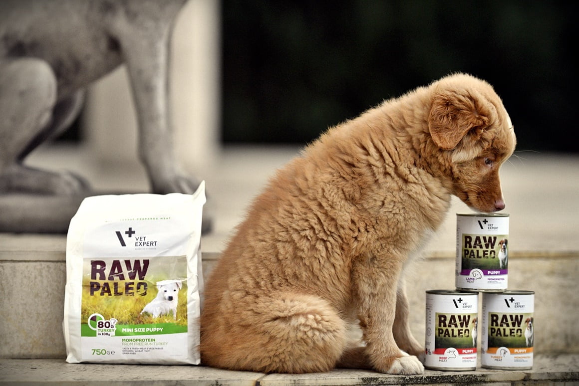 Raw Paleo 5
