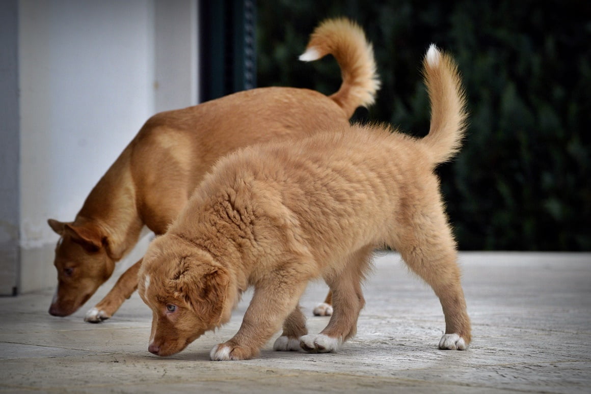 Team work