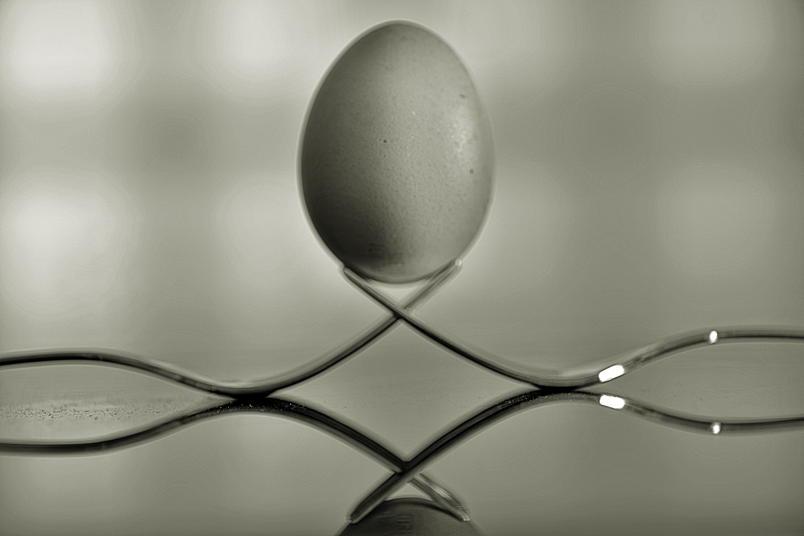 Egg 2