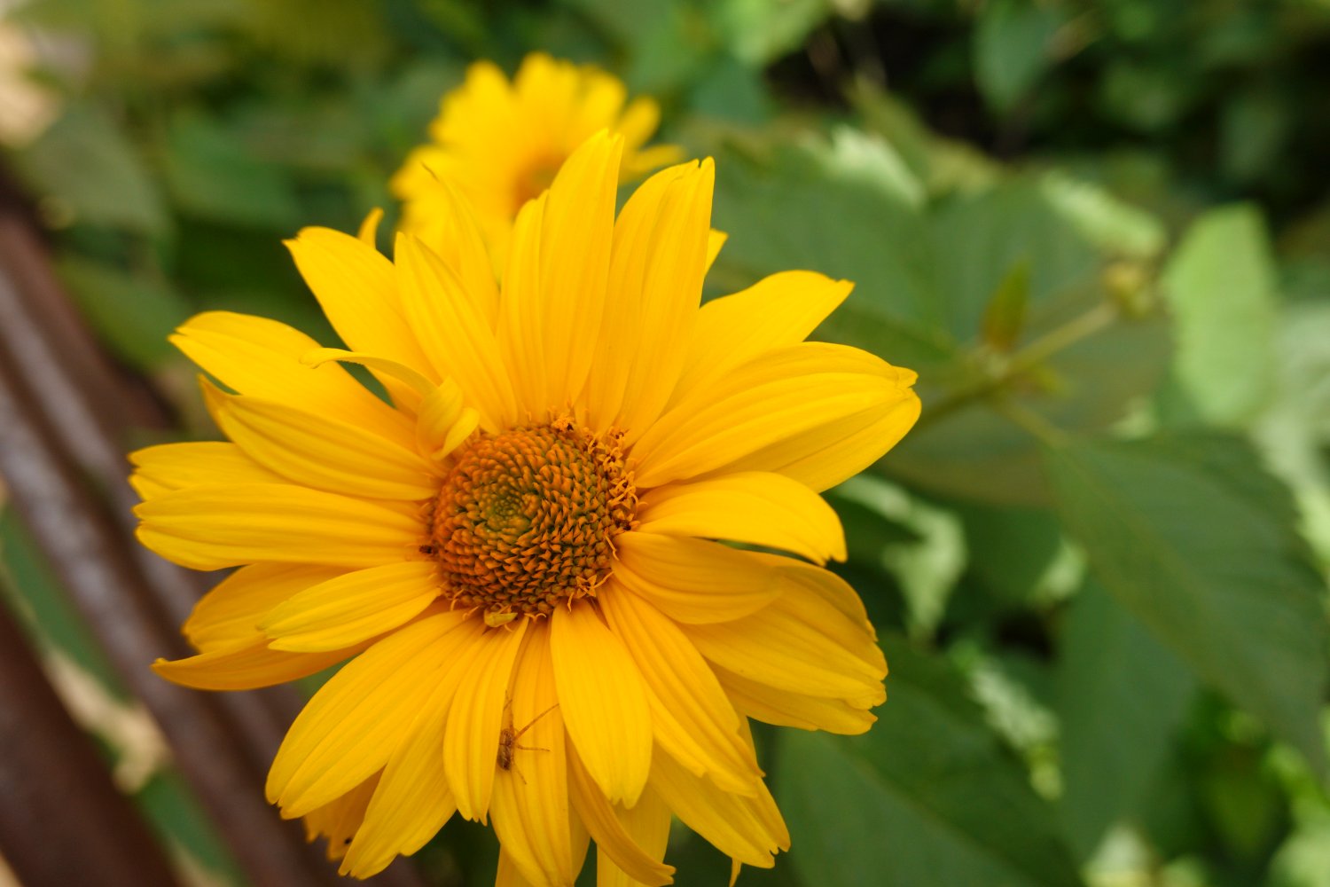 iso200_10