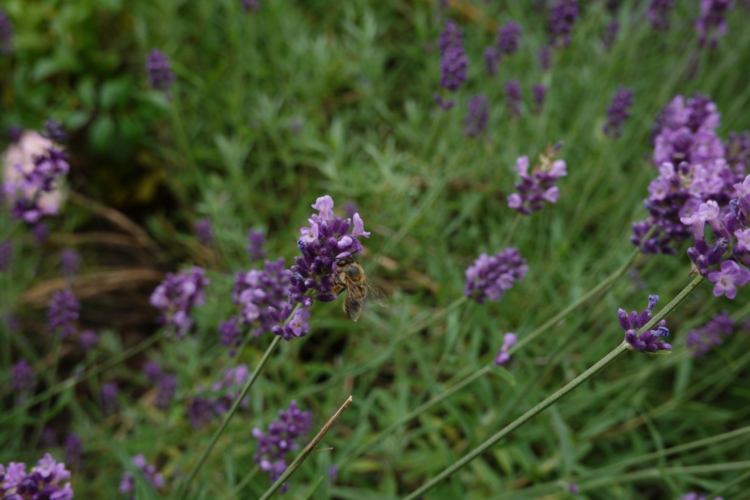 iso200_2