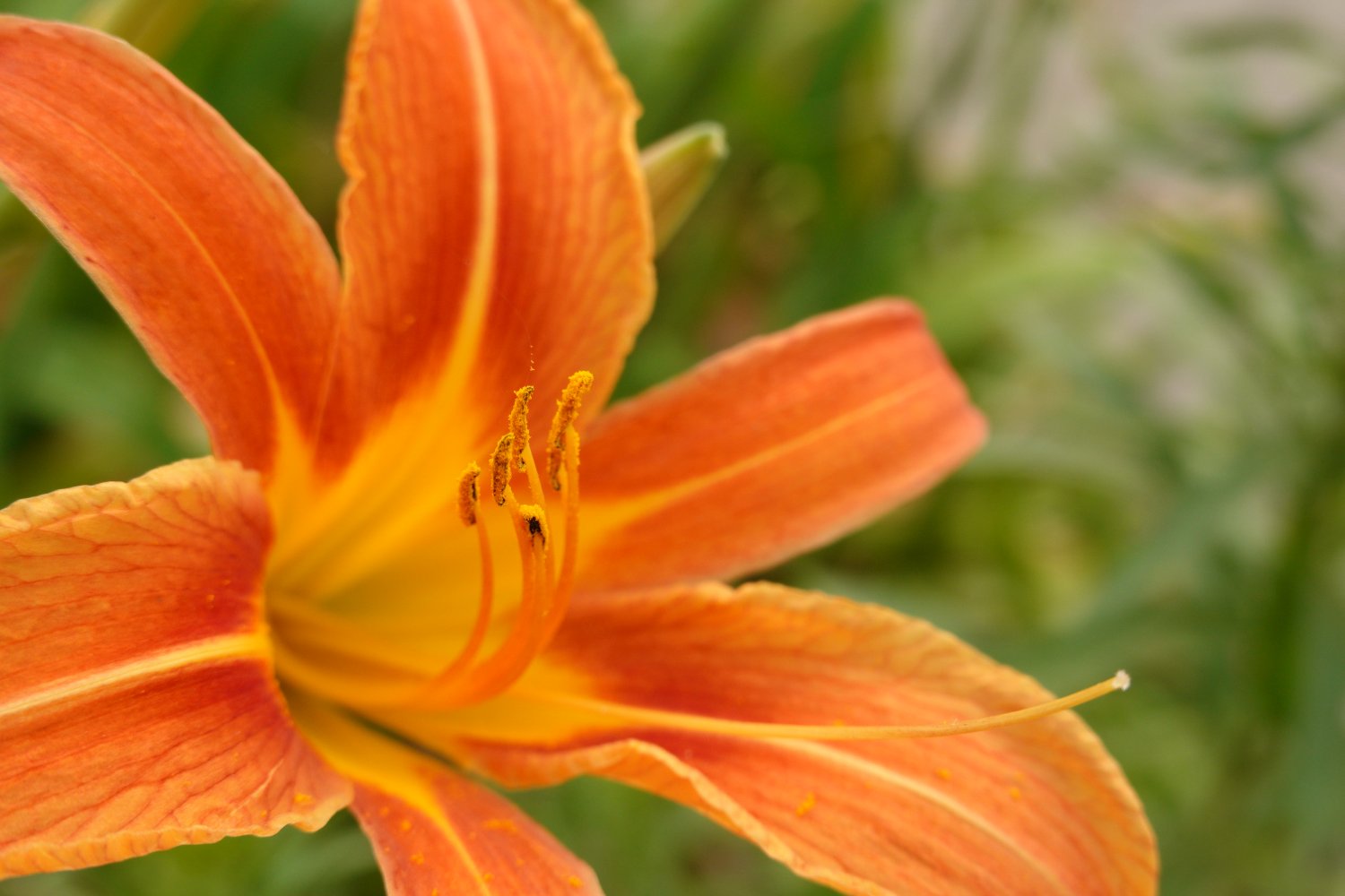 iso200_3