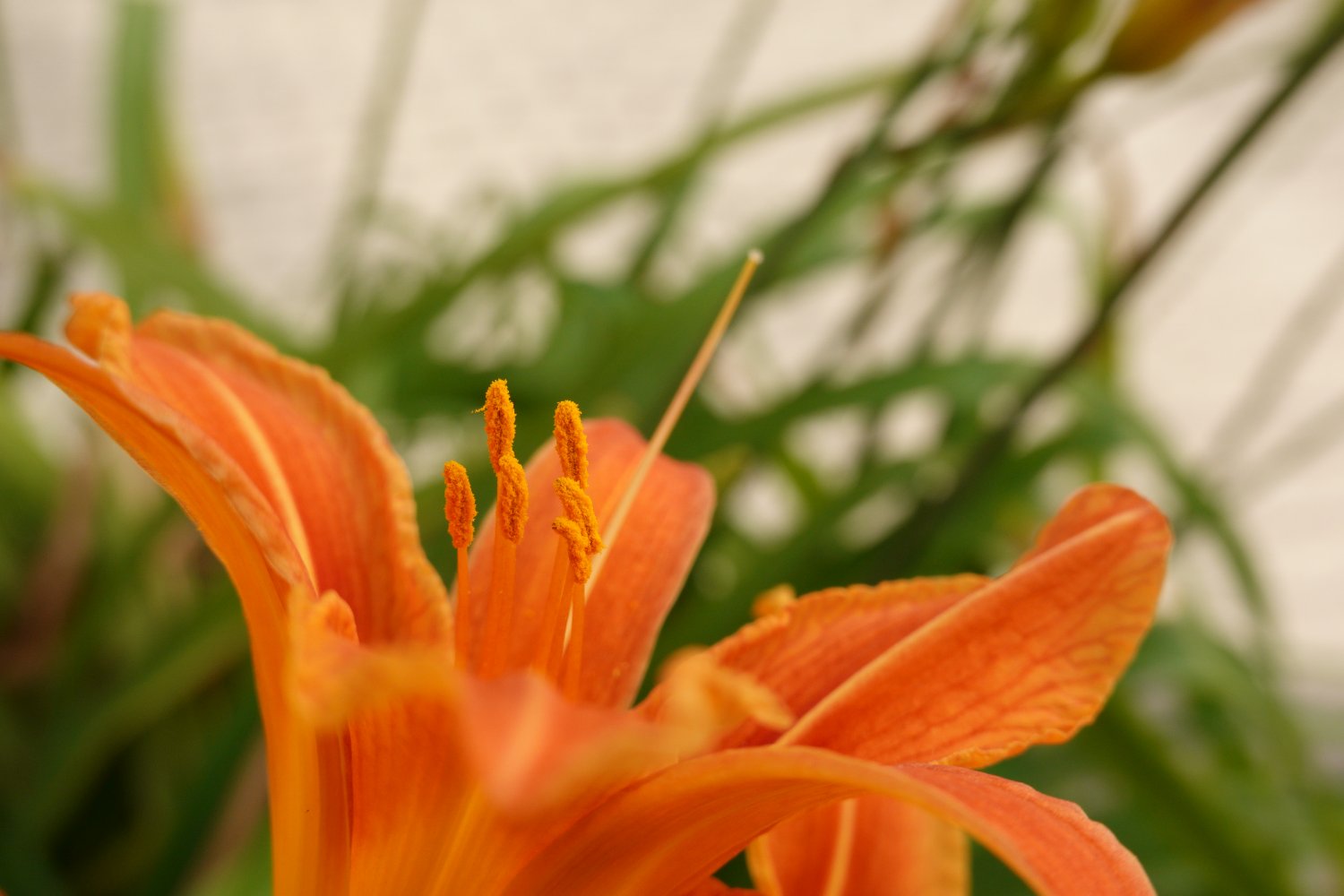 iso200_4