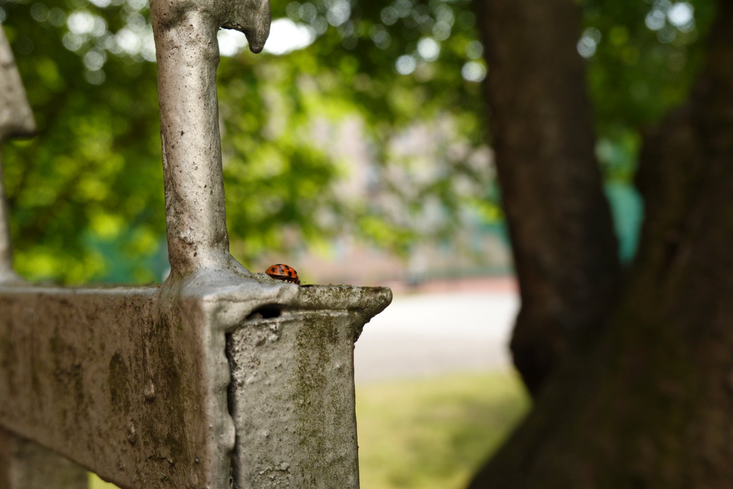 iso200_6