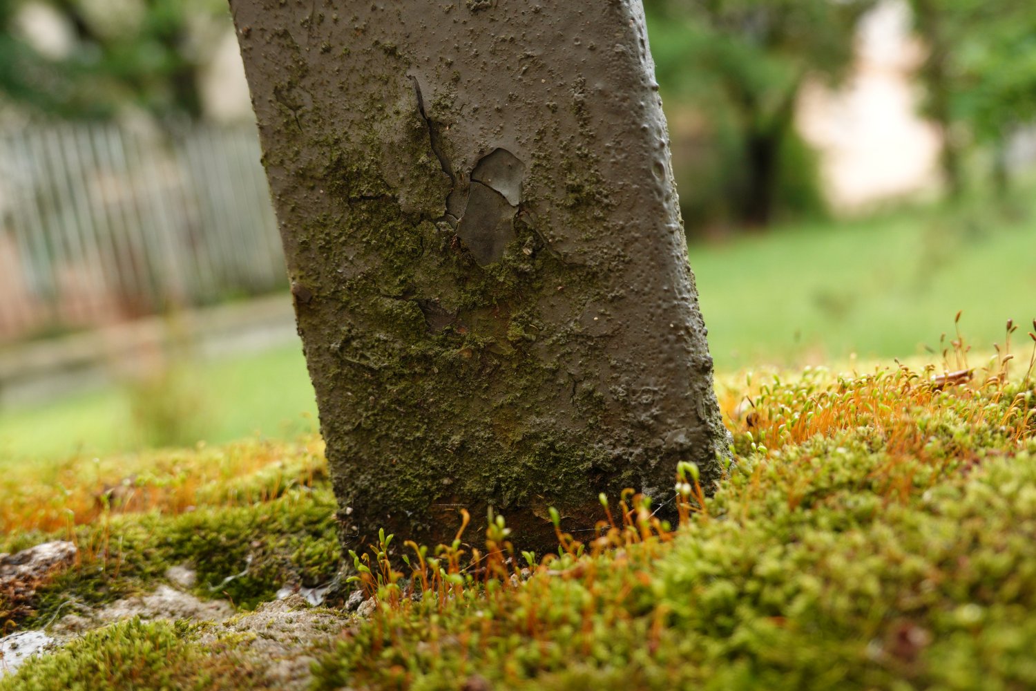 iso200_8