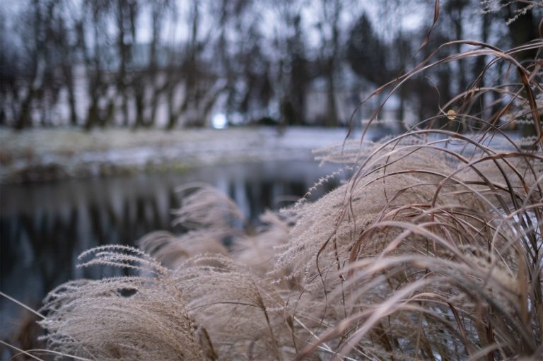 Fujifilm X-T3