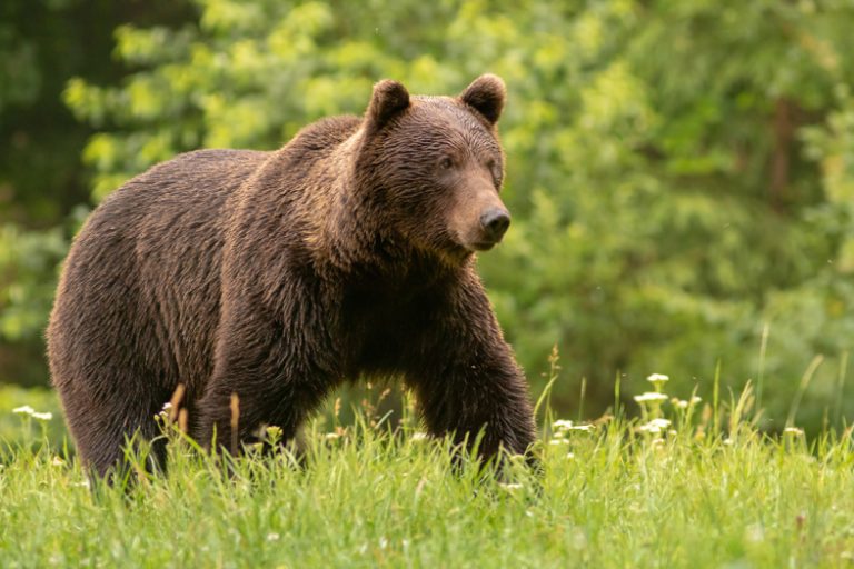 Miejski Ogród Zoologiczny im. Antoniny i Jana Żabińskich w Warszawie