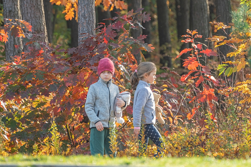 Tamron 50-400mm
