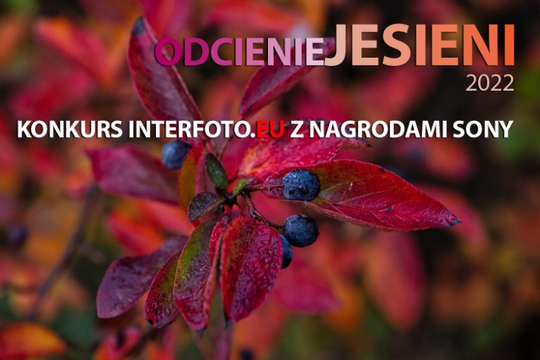 Odcienie Jesieni 2022