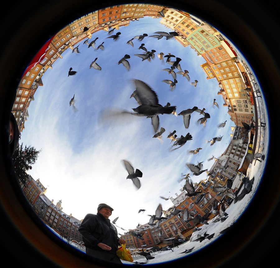 Circular Fisheye