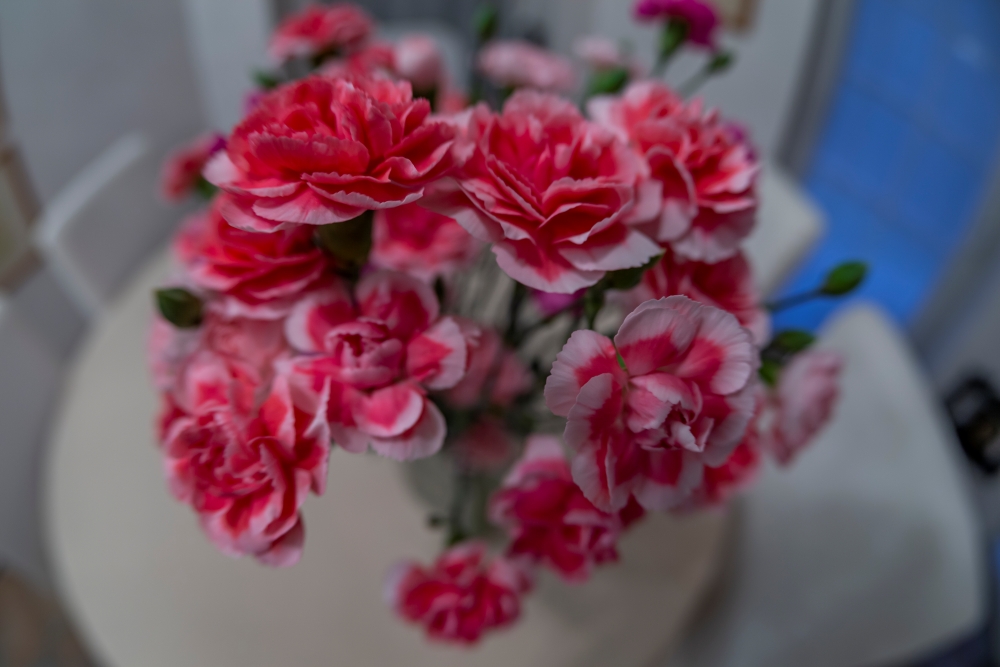 TTArtisan 11mm F2.8 Flowers