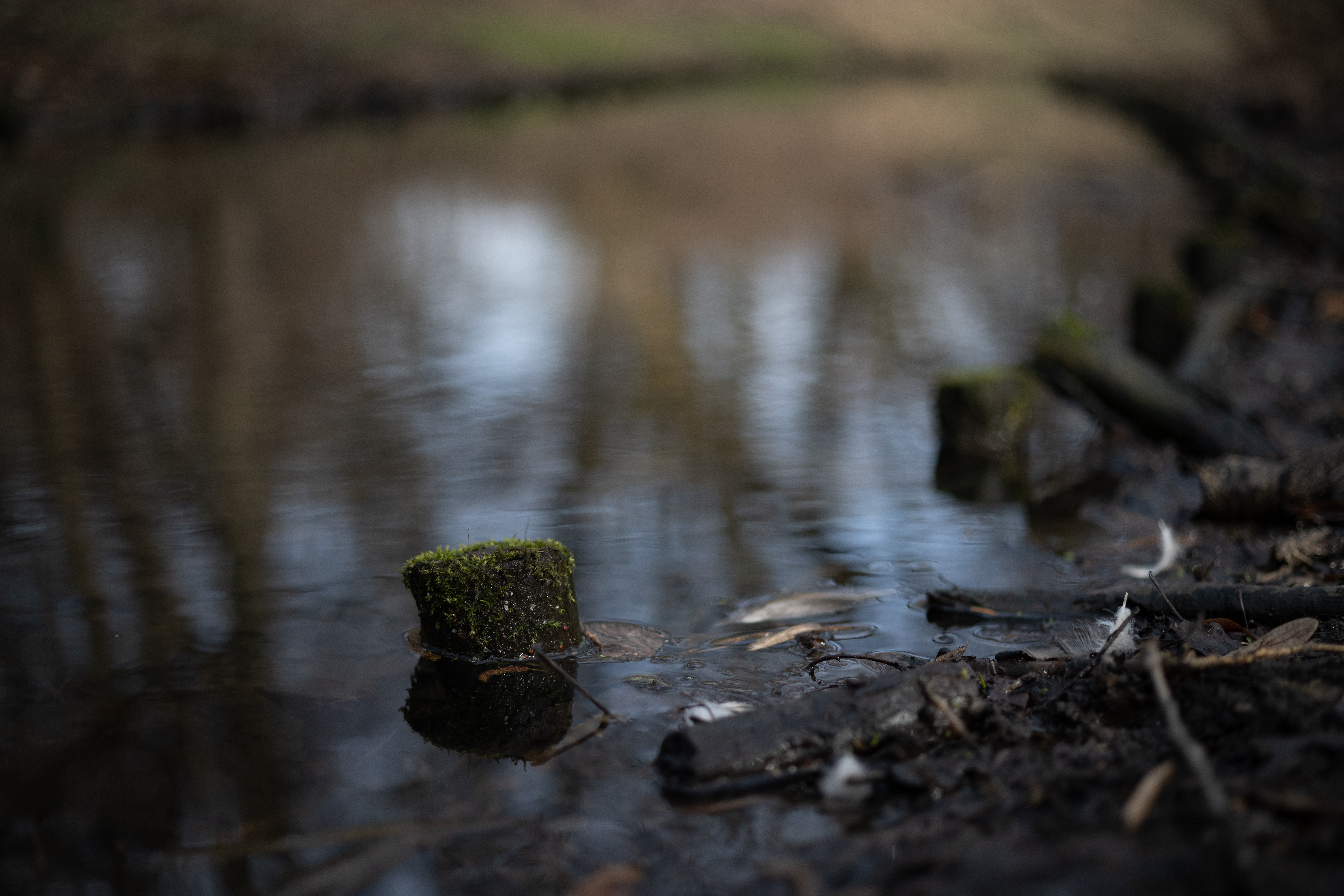 Zeiss Milvus Makro-Planar T* 50mm F2