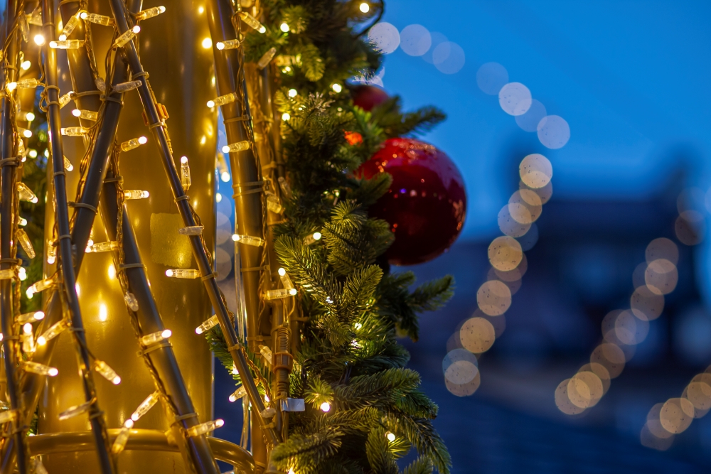 Canon EF 85mm F1.2L II USM Ornaments