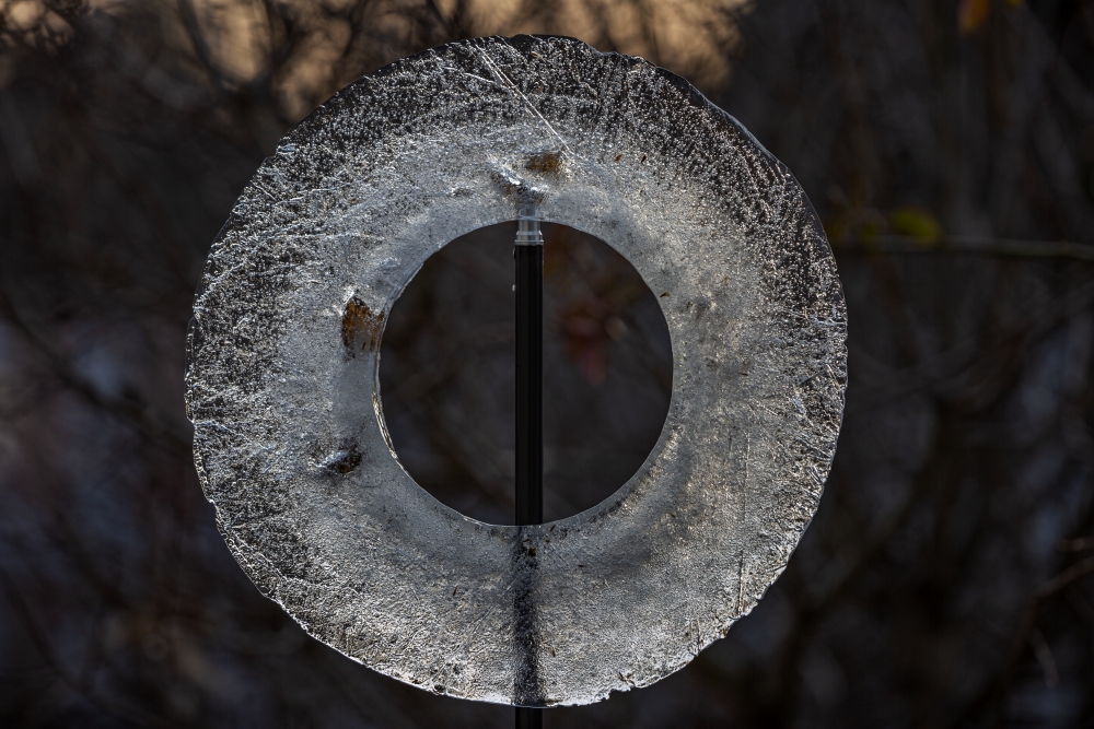 Supertelezoom Canon EF 200 400mm F4L Ring