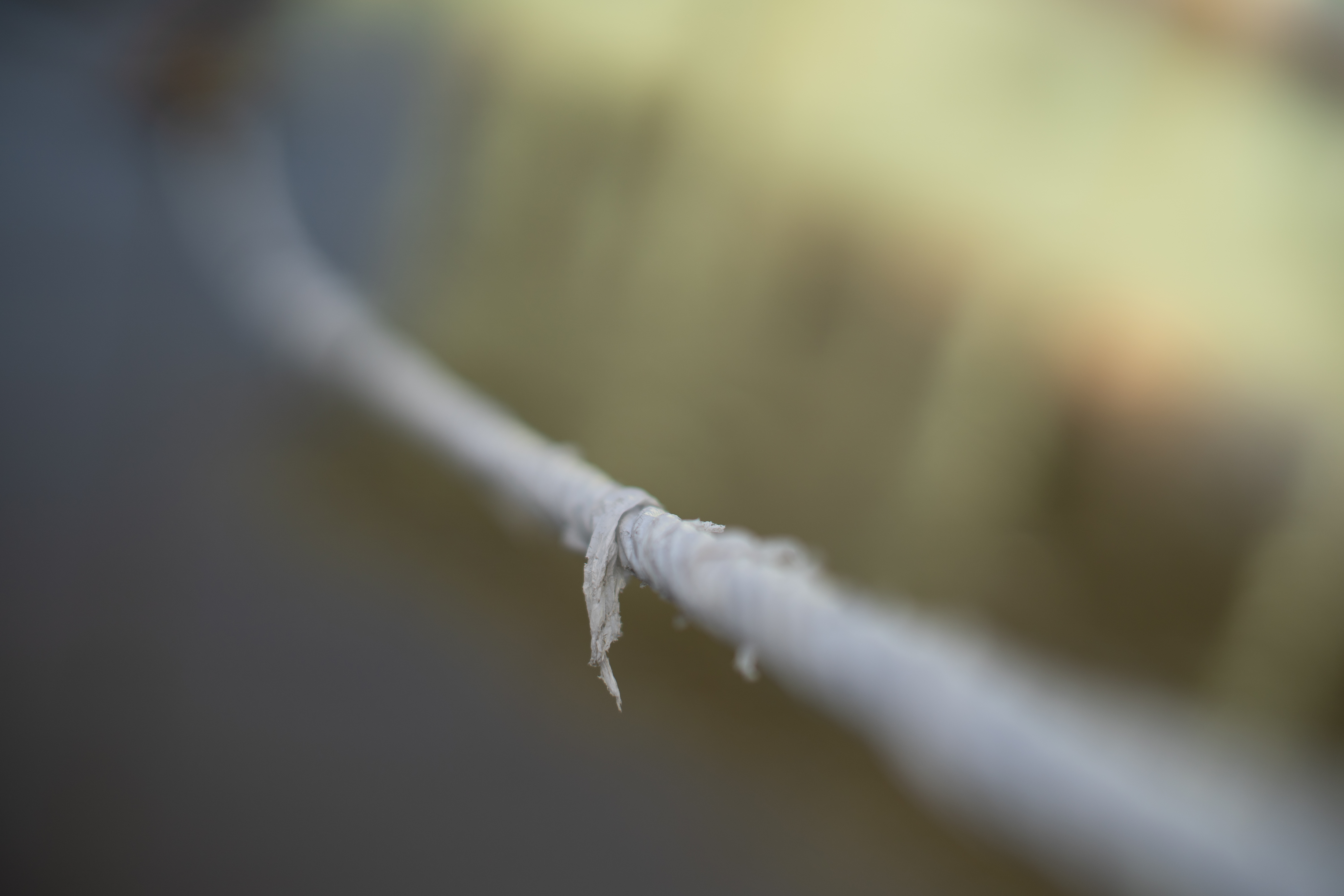 Yashica 55mm F1.2 ML
