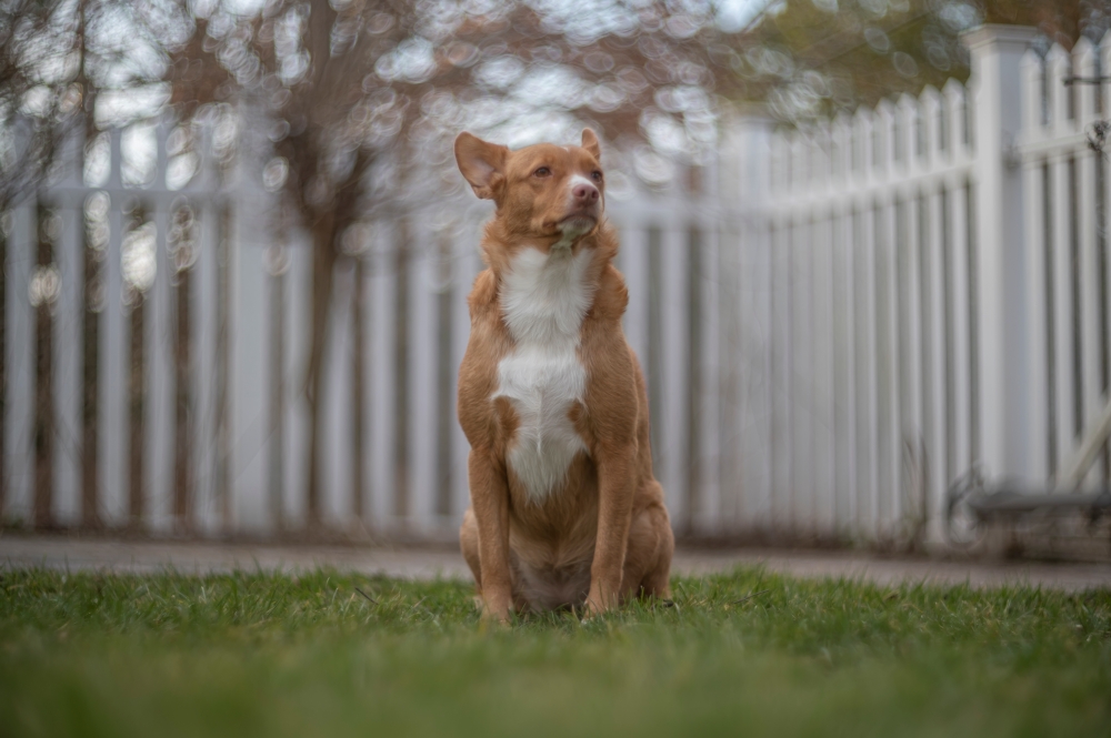 Helios 40 2 85mm F1.5 Little Cloud