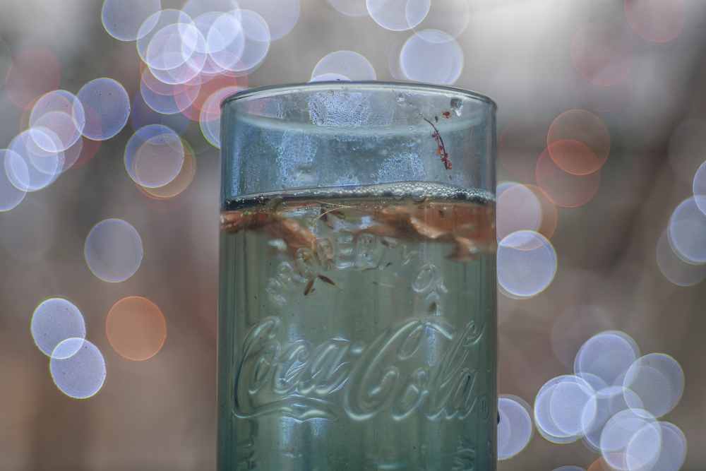 Meyer Optik Trioplan 75mm F2.9 Coke Glass