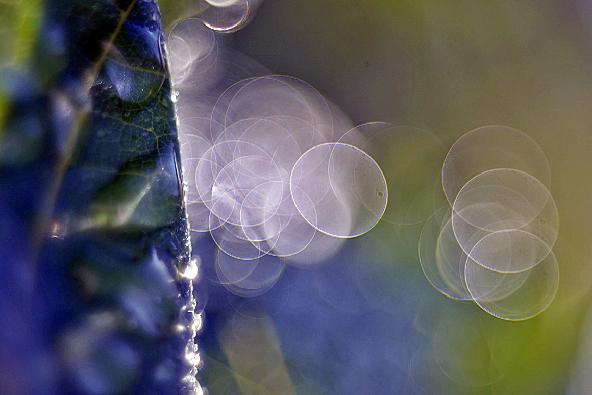 Bańkowe bokeh