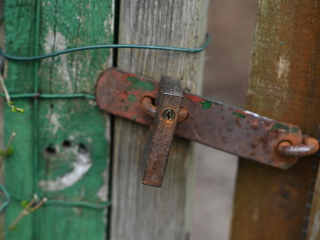 Rzadki do dostania obiektyw M42 Super-Takumar 85mm F1.9 - zdjęcia przykładowe na Nikon Z7 II