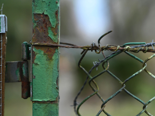Rzadki do dostania obiektyw M42 Super-Takumar 85mm F1.9 - zdjęcia przykładowe na Nikon Z7 II